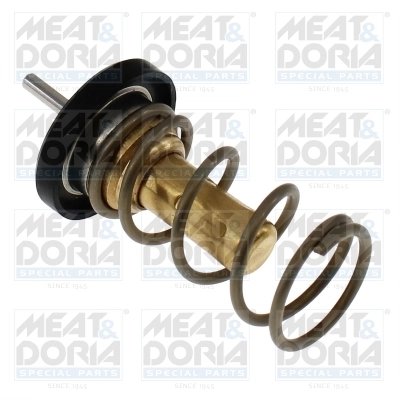 Thermostat, coolant